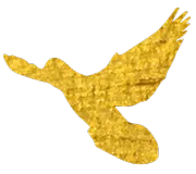 150.png