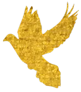 151.png